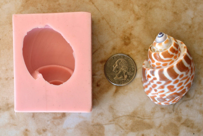 Shell Silicone Mold, Epoxy, Beach, Nautilus, Scallop, Chocolate molds, ocean, seashells, Scallop, sand dollar, shell shop N169