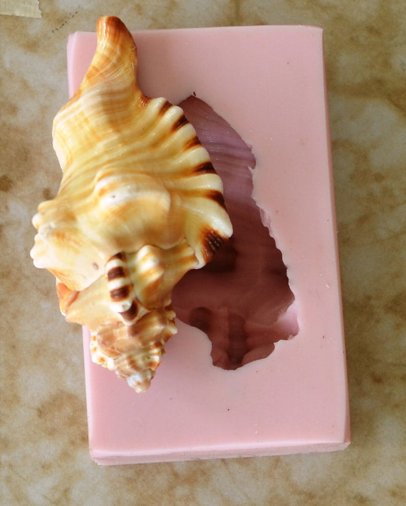 Shell Silicone Mold, Epoxy, Beach, Nautilus, Scallop, Chocolate molds, ocean, seashells, Scallop, sand dollar, shell shop  N171