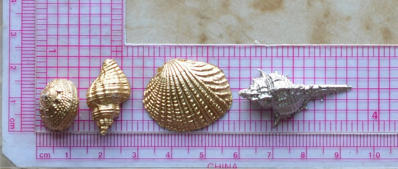 Shell Silicone Mold, Epoxy, Beach, Nautilus, Scallop, Chocolate, Shell mold, ocean, seashells, sand N286