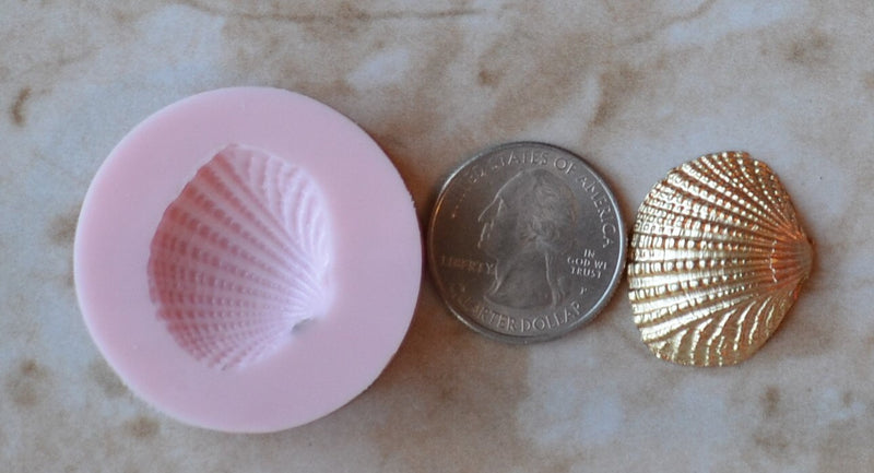 Shell Silicone Mold, Epoxy, Beach, Nautilus, Scallop, Chocolate molds, ocean, seashells, Scallop, sand dollar, shell shop  N351-1