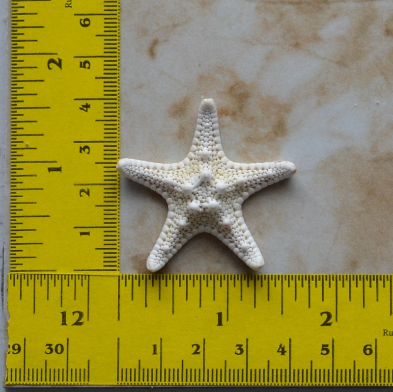 Starfish Silicone Mold, Sea Stars, resin, invertebrates, Five arms, Mold, Silicone Mold, Molds, Clay, Jewelry, Chocolate molds,  N364