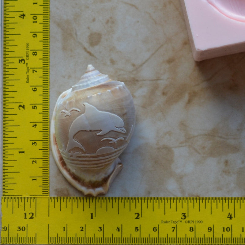 Dolphin Shell Mold Silicone Mold, Shell Silicone Mold, Epoxy, Beach, Nautilus, Scallop, Chocolate molds, ocean, seashells, N352