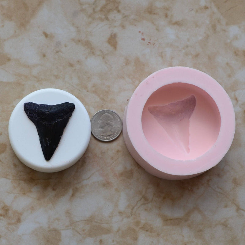 Shark Tooth Soap Mold  2-1/2'" Diameter x 3/4", Soap mold, Round molds, Square molds, Rectangular mold, Octagon, Soaps S-109