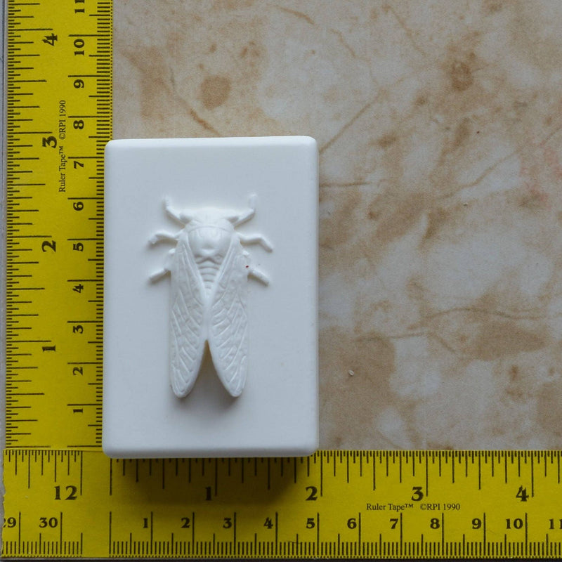 Cicada Soap Mold Silicone, Silicone Soap Mold, Soap mold, Soap, Round molds, Square molds, Rectangular mold, Octagon, Soaps, S-146