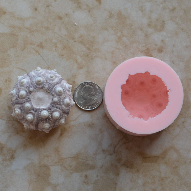 Sea Urchin silicone mold, Sea urchins, Molds, Clay, Crafts, Resin, molds, invertebrate animals, Pedicellariae, poisonous spines, N428