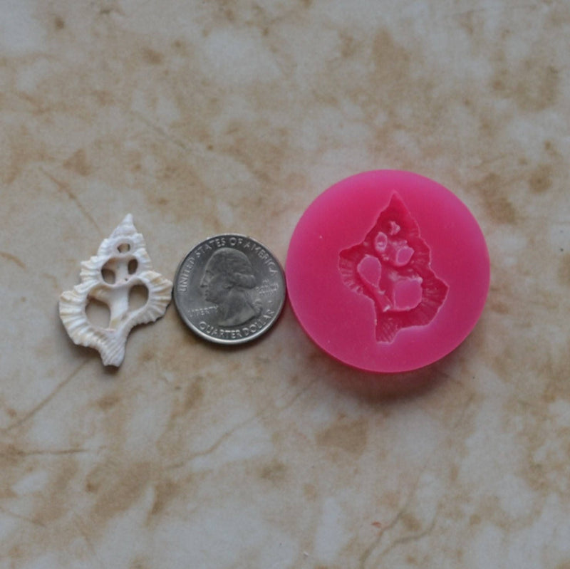 Shell Silicone Mold, Epoxy, Beach, Nautilus, Scallop, Chocolate molds, ocean, seashells, Scallop, sand dollar, shell shop   N465