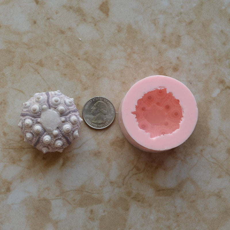 Sea Urchin silicone mold, Sea urchins, Molds, Clay, Crafts, Resin, molds, invertebrate animals, Pedicellariae, poisonous spines,  N430