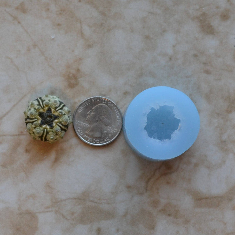 Sea Urchin silicone mold, Sea urchins, Molds, Clay, Crafts, Resin, molds, invertebrate animals, Pedicellariae, poisonous spines, N437