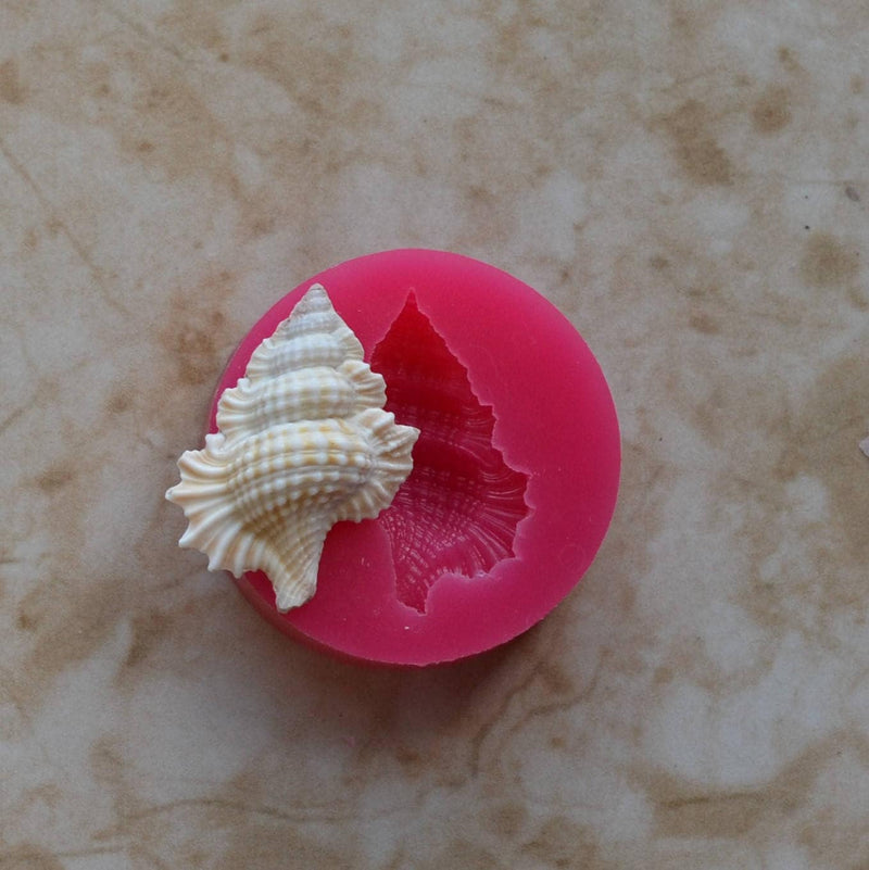 Shell Silicone Mold, Epoxy, Beach, Nautilus, Scallop, Chocolate molds, ocean, seashells, Scallop, sand dollar, shell shop   N457