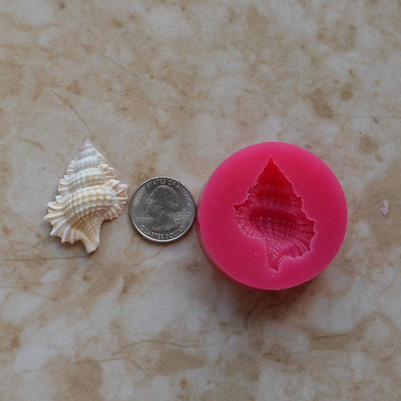 Shell Silicone Mold, Epoxy, Beach, Nautilus, Scallop, Chocolate molds, ocean, seashells, Scallop, sand dollar, shell shop   N457