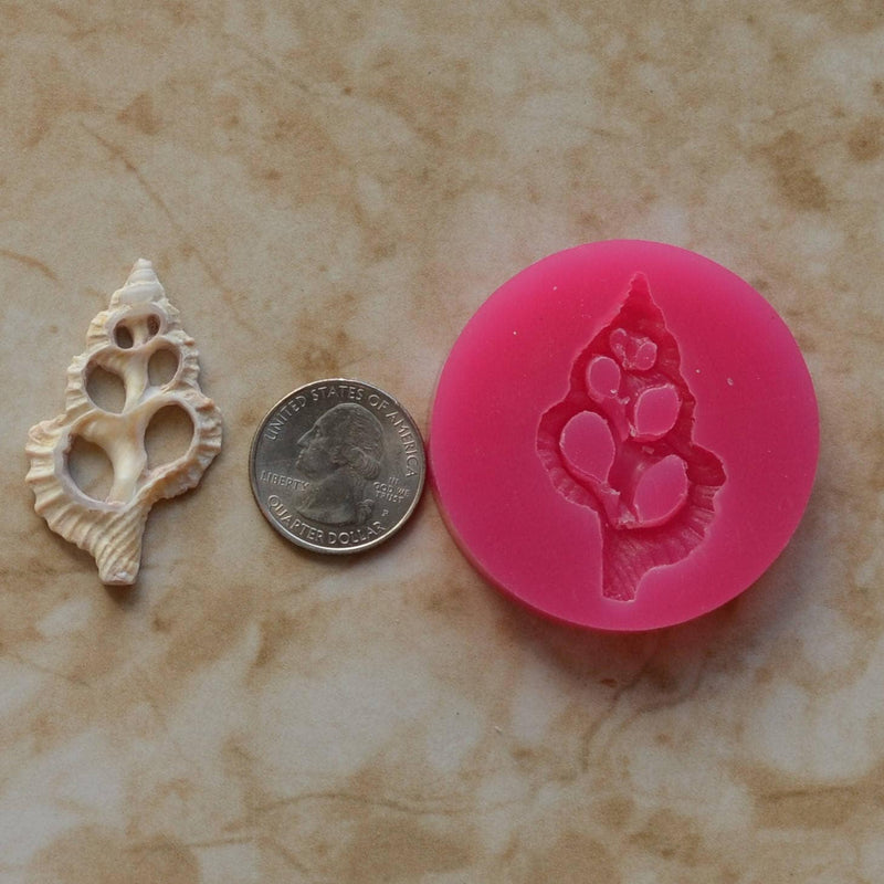 Shell Silicone Mold, Epoxy, Beach, Nautilus, Scallop, Chocolate molds, ocean, seashells, Scallop, sand dollar, shell shop   N466