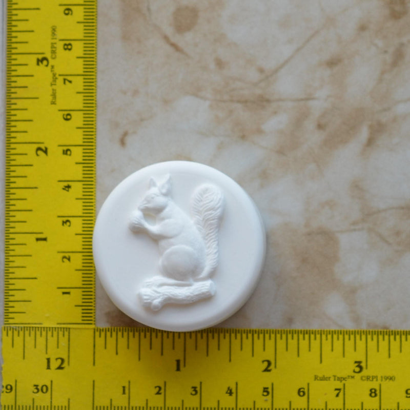 Squirrel Soap Mold  Silicone, Silicone Soap Mold, Soap mold, Soap, Round molds, Square molds, Rectangular mold, Octagon, Soaps,  S-106