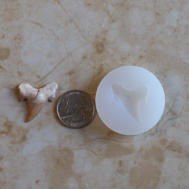 Shark Tooth Silicone Mold, Shark, Shark teeth, Resin Shark mold, Clay mold, Epoxy, Ocean, Sharks, Nautical, food grade, Chocolate A482