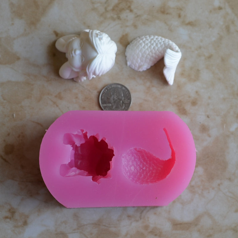 Mermaids Head and Tail Mold Silicone, Mermaid, Mermaids, aquatic creature, Shipwrecks, Folklore, Fairy tales, Clay mold, Epoxy molds,  N480