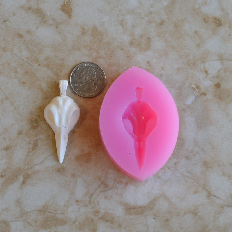 Raven Skull Silicone Mold, Birds, Resin Birds mold, Clay Birds mold, Epoxy, food grade Birds mold, songbirds, Sea birds, Chocolate A193