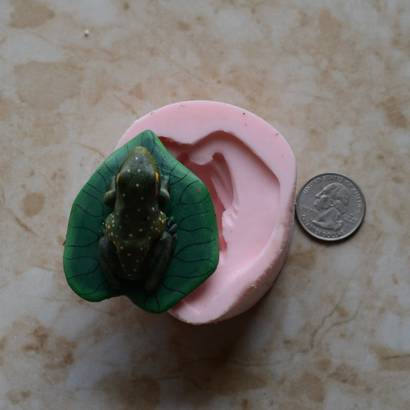 Frog Silicone Mold, Frog Silicone Mold, Frogs, Resin mold, Clay mold, food grade, amphibian, Toads, Chocolate molds, Frogs, Tadpole, A550