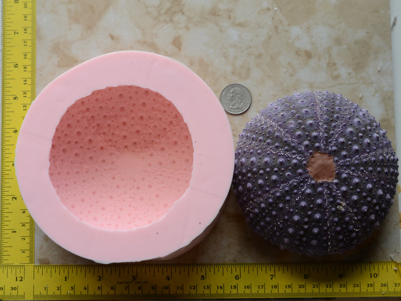 Sea Urchin silicone mold, Sea urchins, Molds, Clay, Crafts, Resin, molds, invertebrate animals, Pedicellariae, poisonous spines,  N511