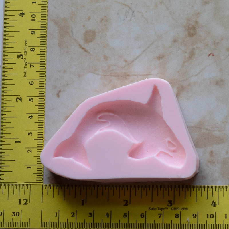 Killer Whale, Orca, Silicone Mold,  resin, Fish, Clay, Epoxy, food grade, Ocean fish, deepwater fish, Chocolate, freshwater fish N146-3