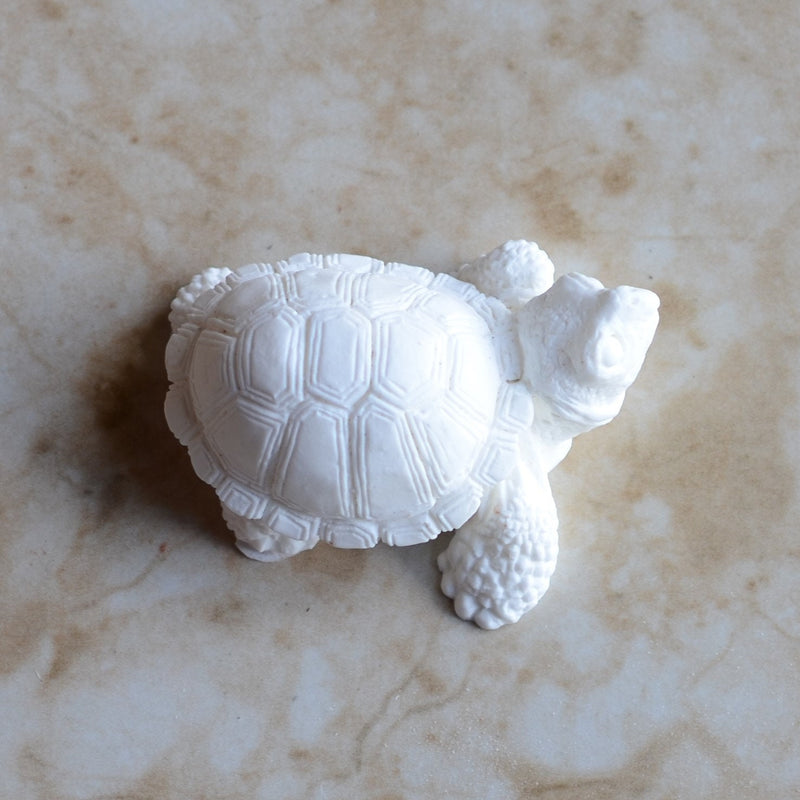 Turtle silicone mold, Resin mold, Clay mold, Epoxy molds, Sea turtle, turtles, Nautical molds, beach, ocean, nautical, sea, animal,  A592