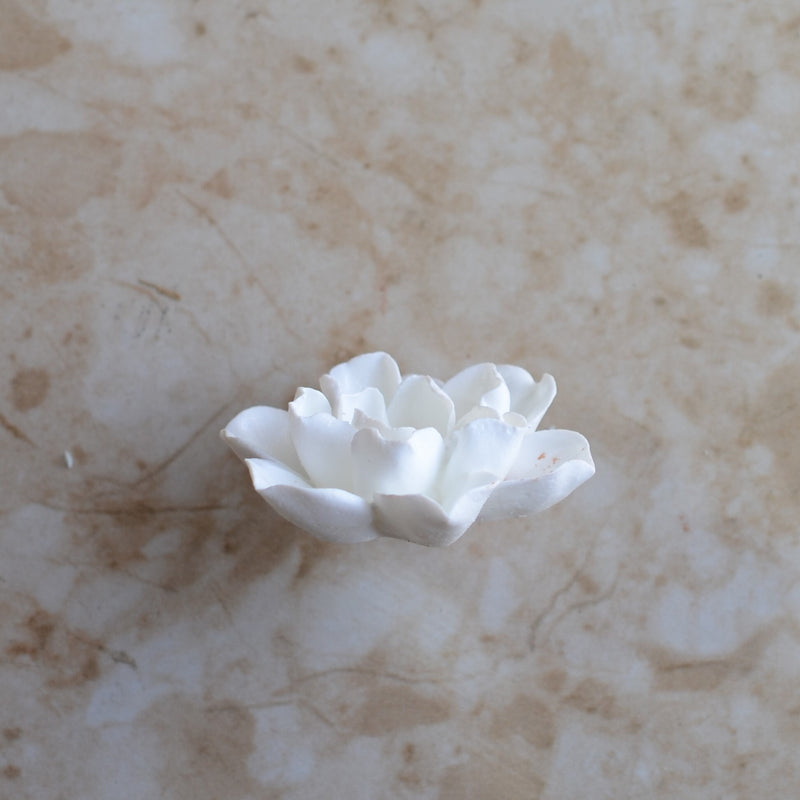 Flower Silicone Mold, Plants, Trees, plant life, Flowers, flowering plants, Palm trees, Clay mold, Leaf, Chocolate,  G411